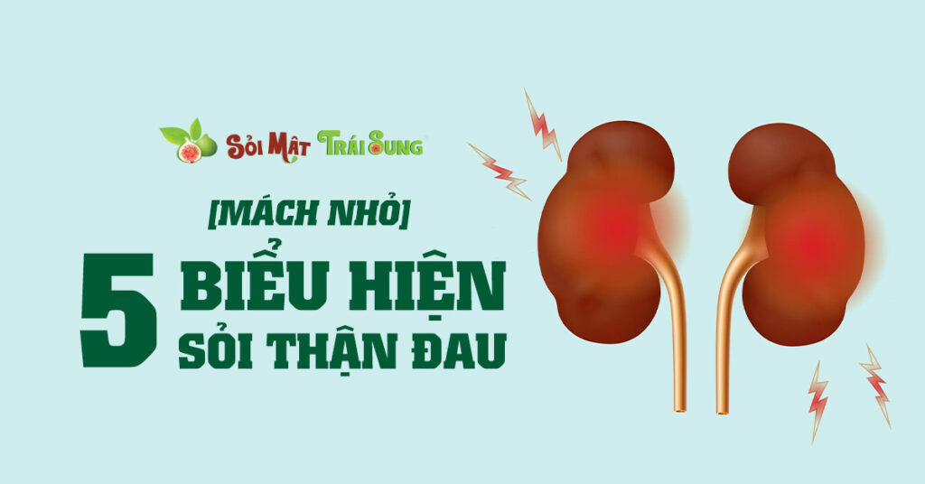 Sỏi Mật Trái Sung