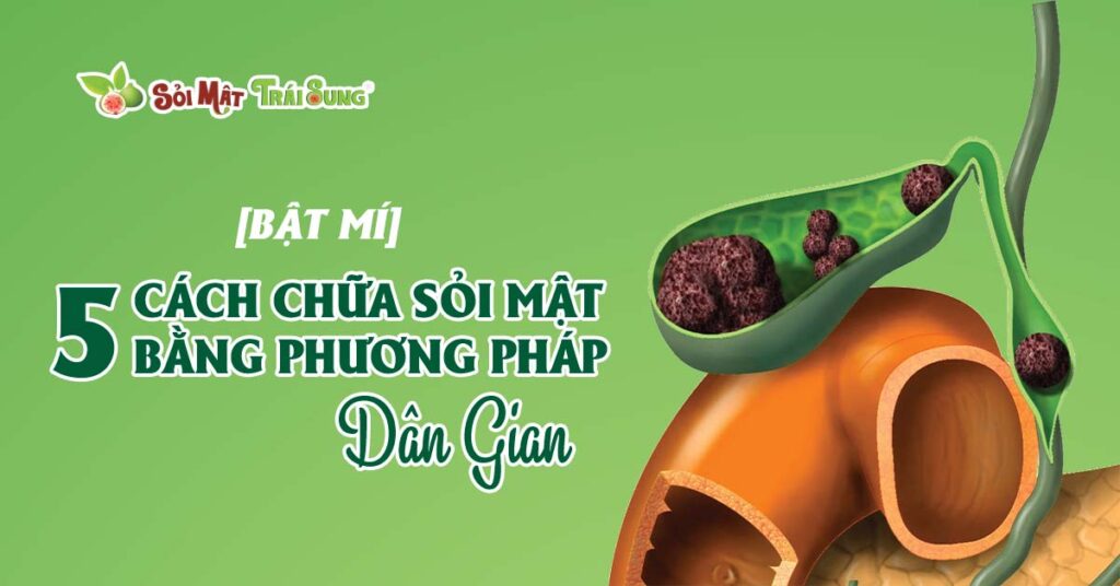 Sỏi Mật Trái Sung