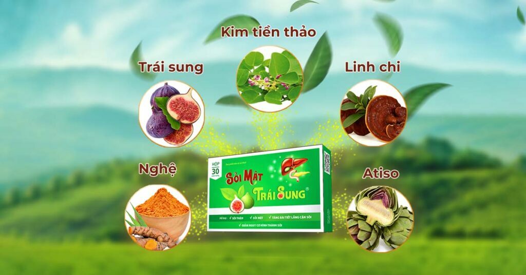 Sỏi Mật Trái Sung