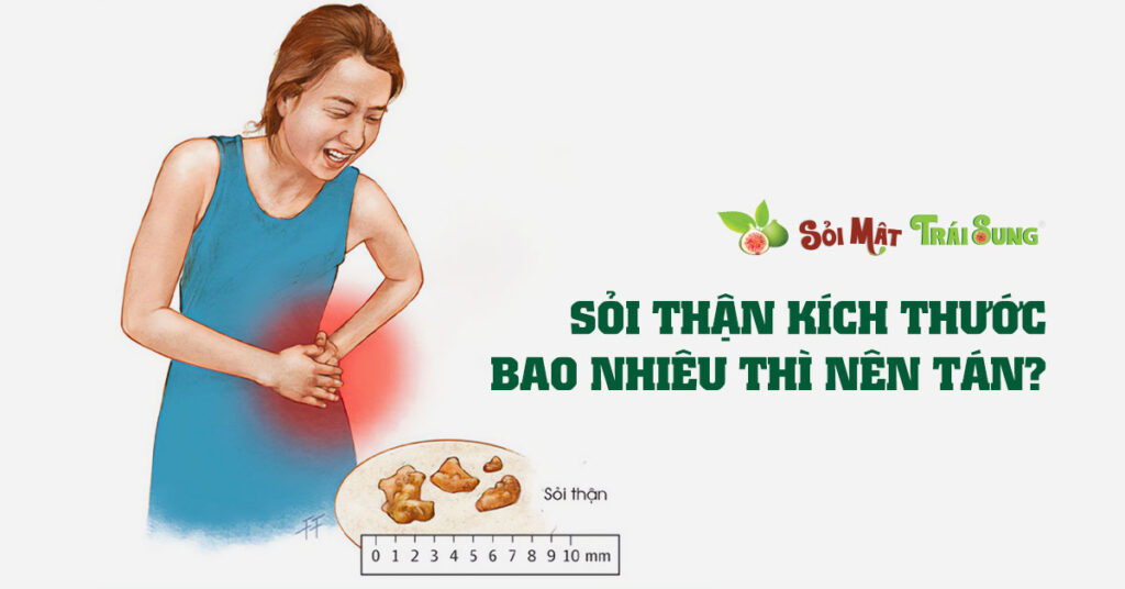 Sỏi Mật Trái Sung