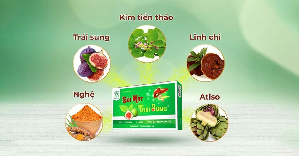 Sỏi Mật Trái Sung