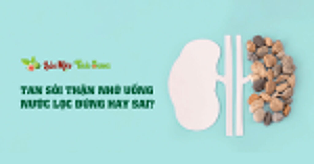 Sỏi Mật Trái Sung