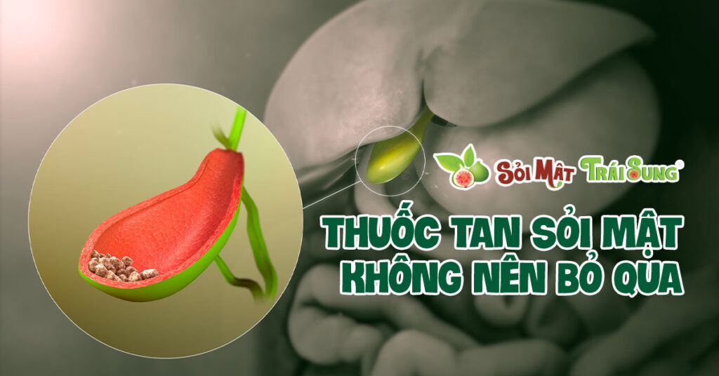 Sỏi Mật Trái Sung
