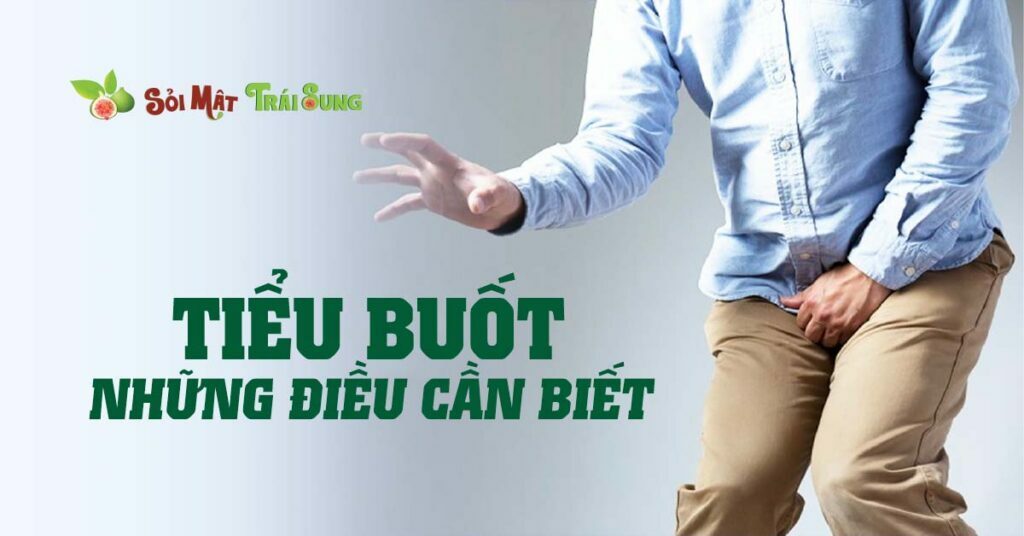 Sỏi Mật Trái Sung