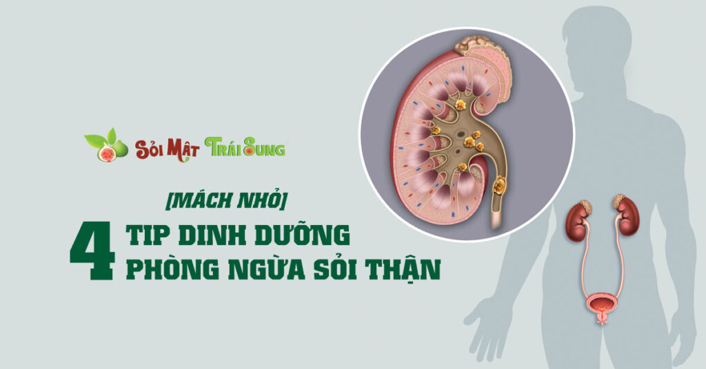 Sỏi Mật Trái Sung