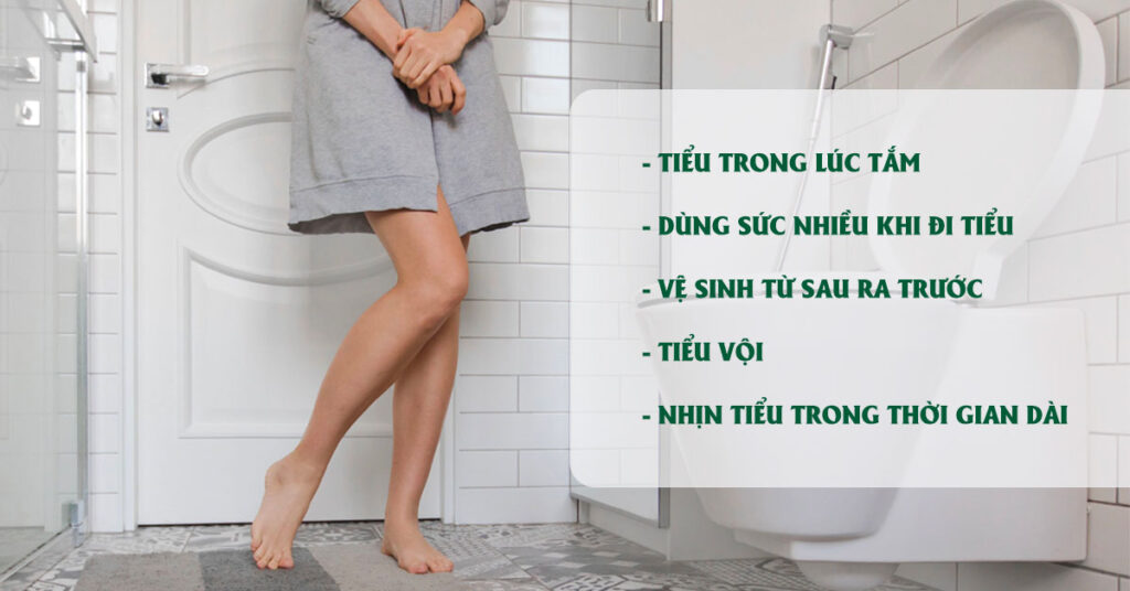 Sỏi Mật Trái Sung