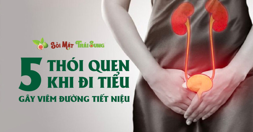 Sỏi Mật Trái Sung