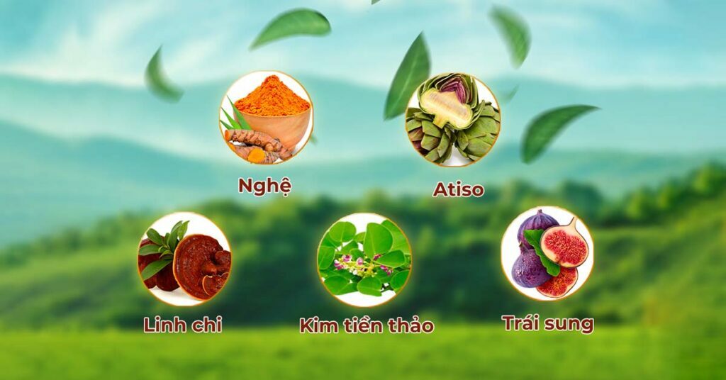 Sỏi Mật Trái Sung