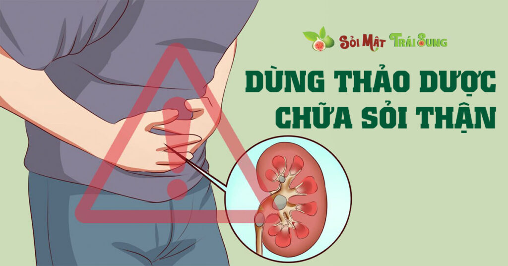 Sỏi Mật Trái Sung