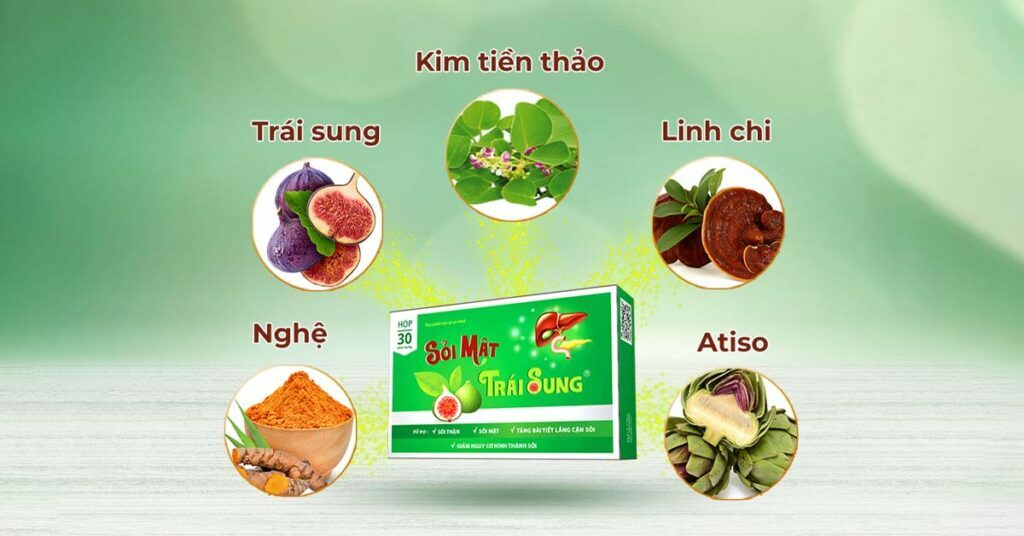 Sỏi Mật Trái Sung
