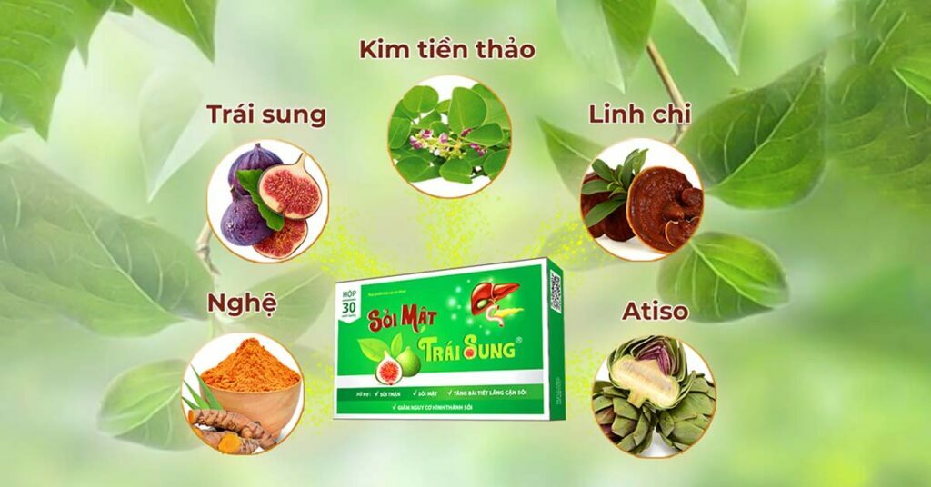 Sỏi Mật Trái Sung