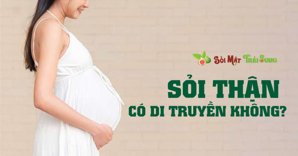 Sỏi Mật Trái Sung