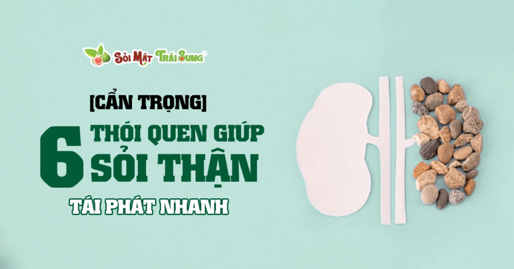 Sỏi Mật Trái Sung