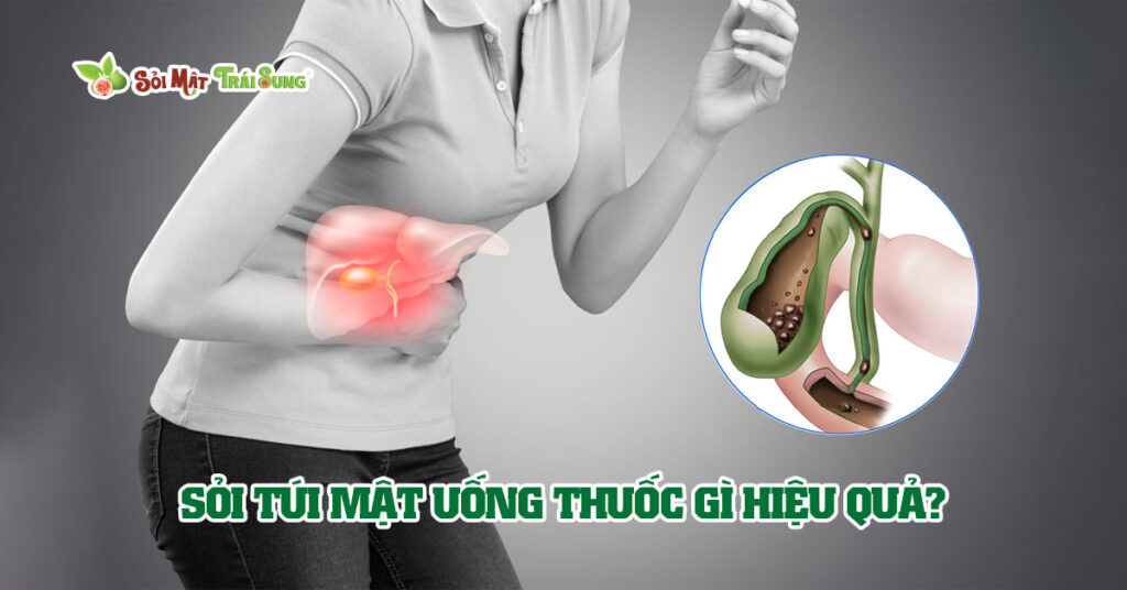 Sỏi Mật Trái Sung