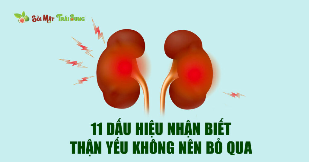 Sỏi Mật Trái Sung