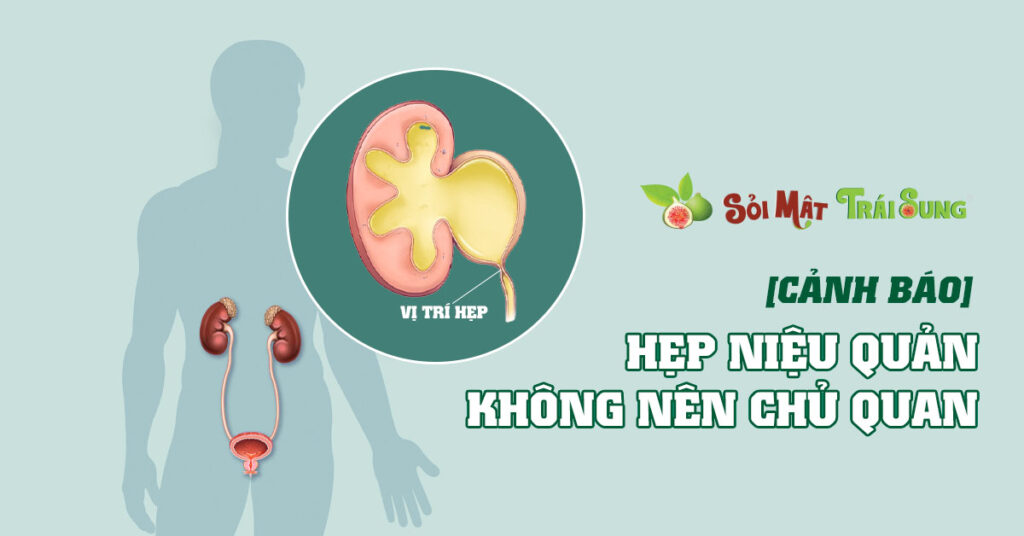 Sỏi Mật Trái Sung