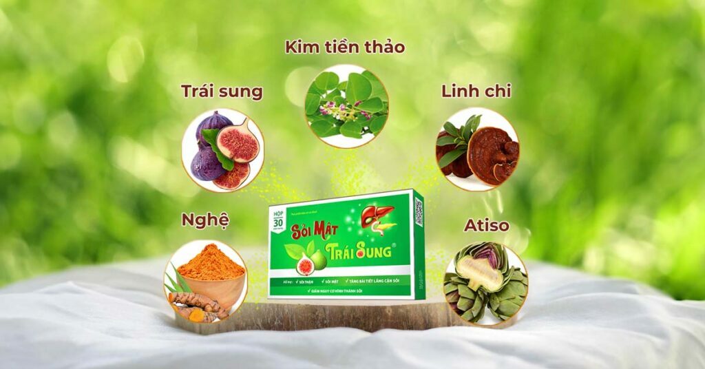 Sỏi Mật Trái Sung