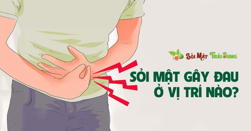 Sỏi Mật Trái Sung
