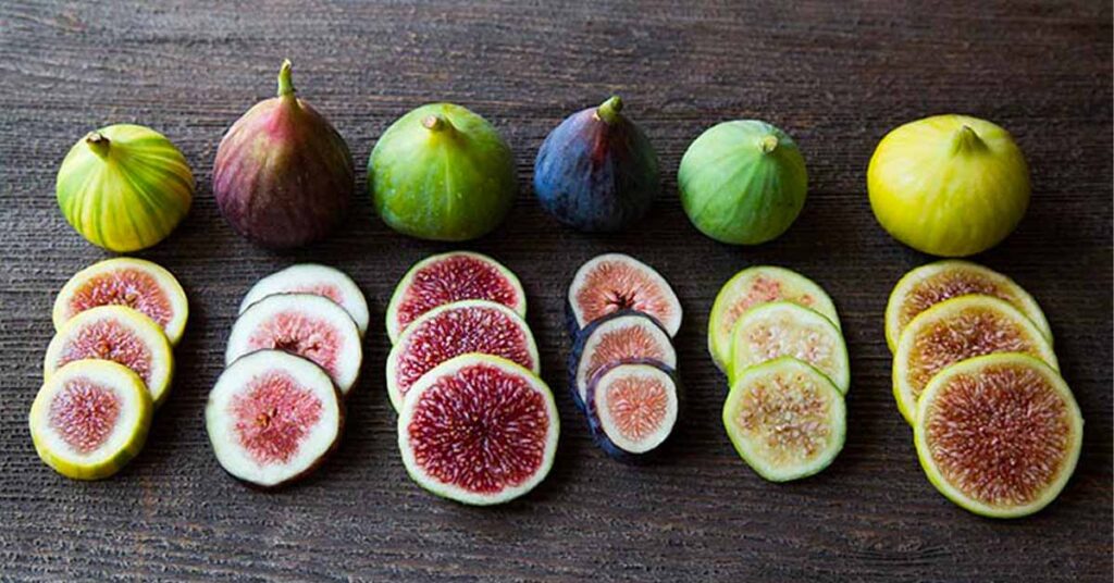 Sỏi Mật Trái Sung