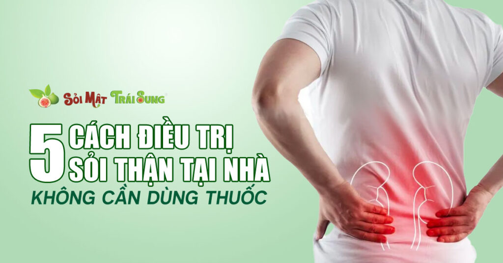Sỏi Mật Trái Sung