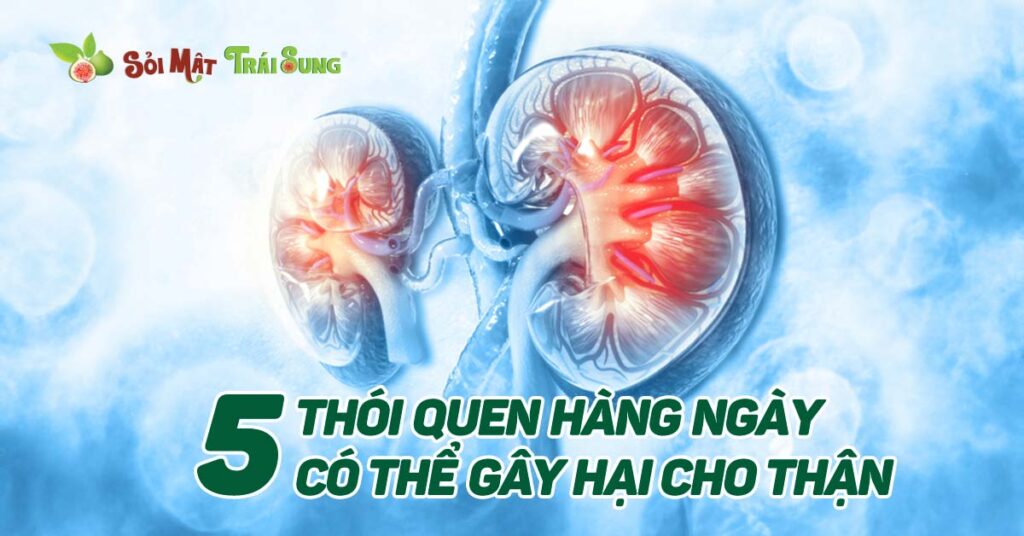 Sỏi Mật Trái Sung