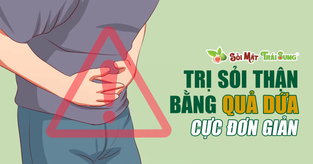 Sỏi Mật Trái Sung