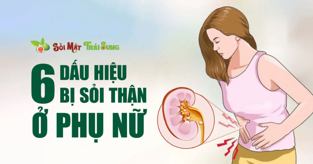 Sỏi Mật Trái Sung