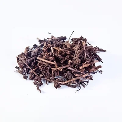 Thành phần nhân trần có trong sỏi mật trái sung