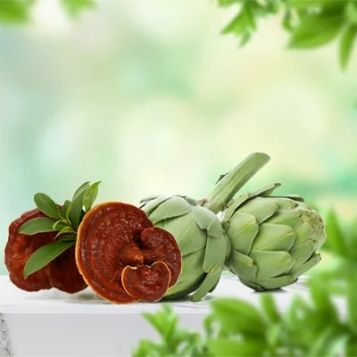 Hỗ trợ giảm nguy cơ hình thành sỏi (sỏi mật, sỏi thận)