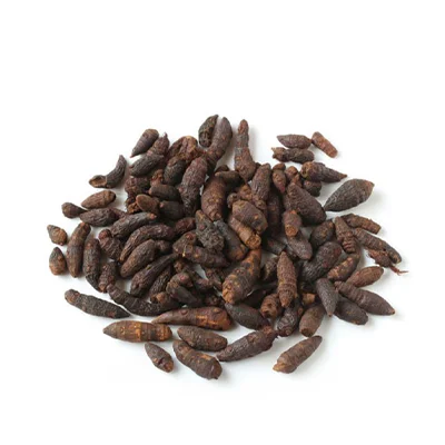 Thành phần Hương phụ có trong sỏi mật trái sung