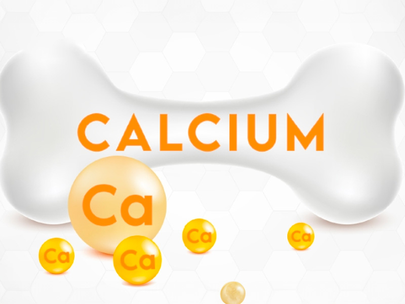 Sỏi Mật Trái Sung