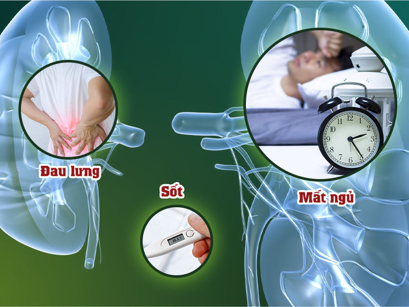 Khi bị sỏi thận hoặc suy thận bạn đều gặp những tình trạng trên