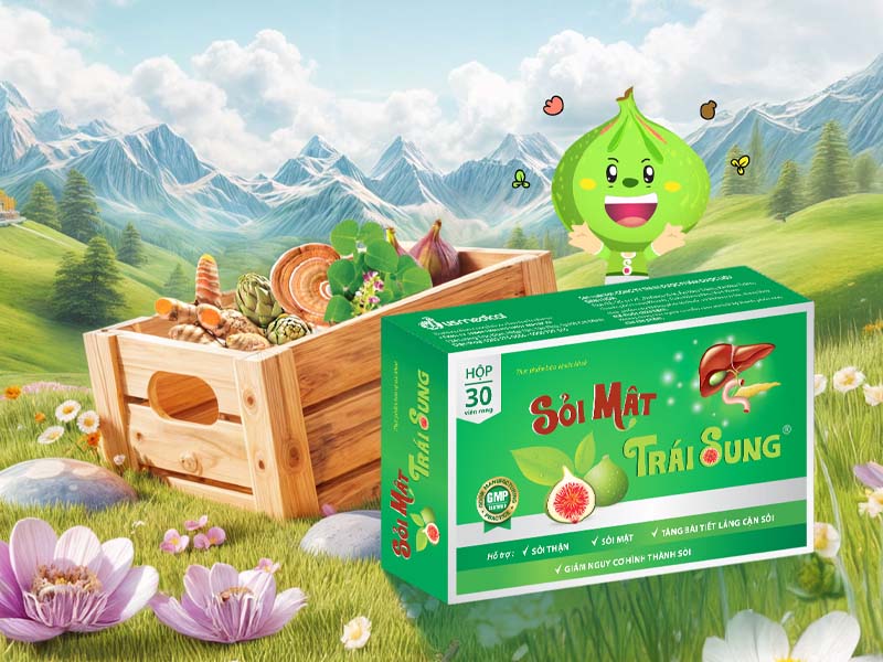 Sỏi mật trái sung được điều chế từ hơn 20 vị thảo dược từ thiên nhiên