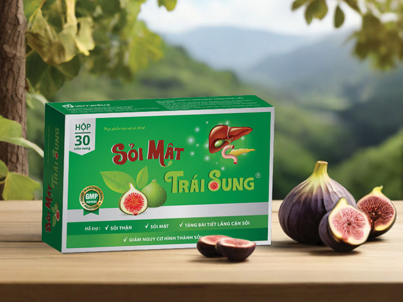 Sỏi mật trái sung điều trị sỏi thận, sỏi mật, sỏi gan