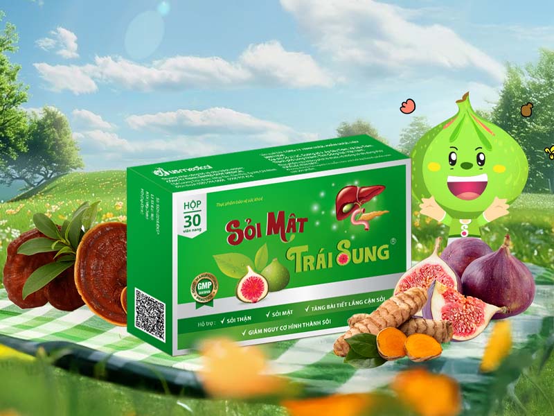 Sỏi mật trái sung giúp hạn chế các biểu hiện đau do sỏi thận gây nên