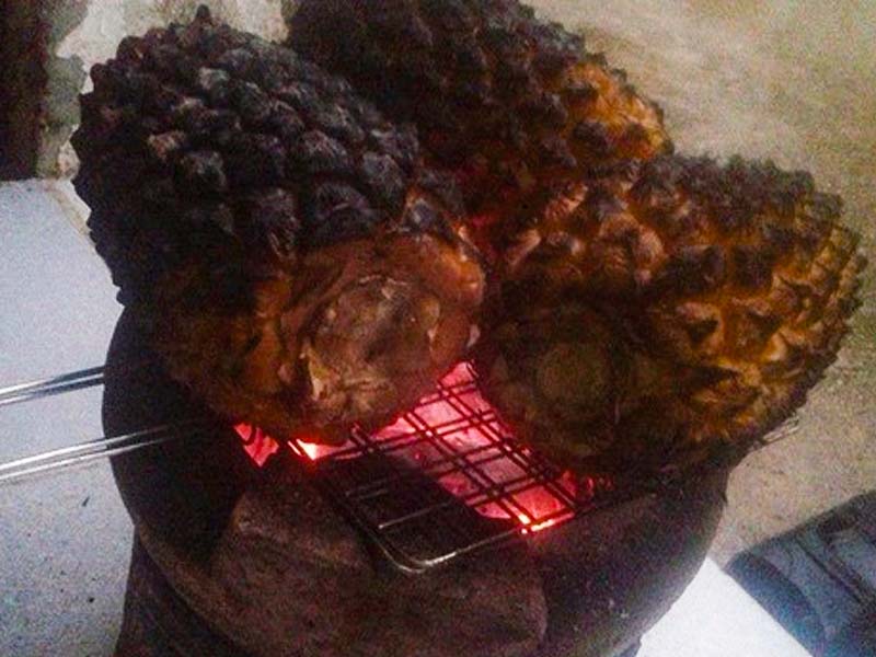 Thơm là loại quả mọng nước có tác dụng cần bằng các yếu tố hình thành sỏi mật