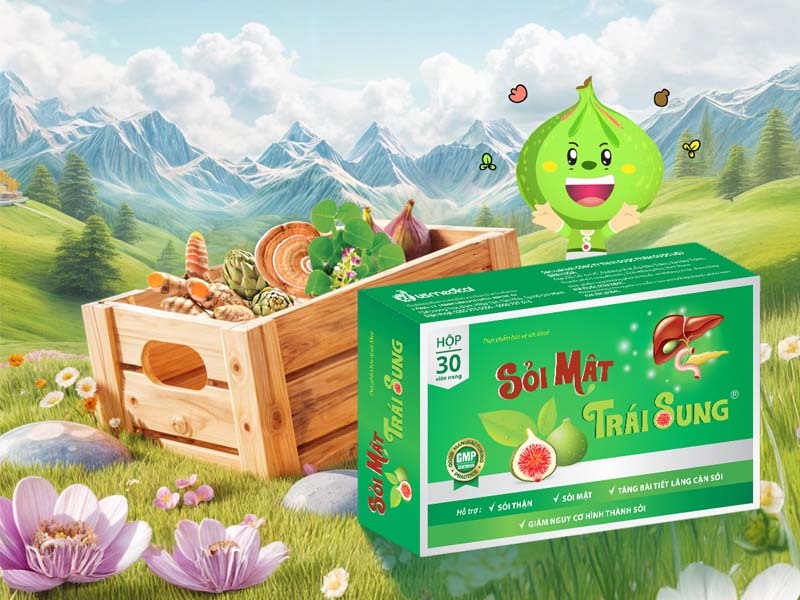 Sỏi mật trái sung chữa sỏi thận không cần tán sỏi 