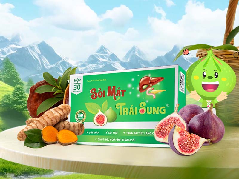 Sỏi mật trái sung chữa sỏi thận an toàn, hiệu quả và không tác dụng phụ