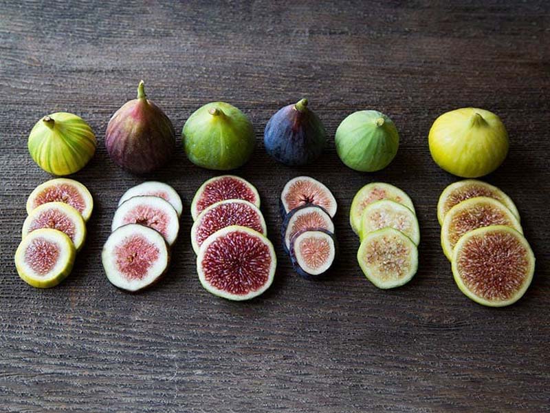 Trái sung giúp cải thiện kích thước sỏi mật, sỏi thận