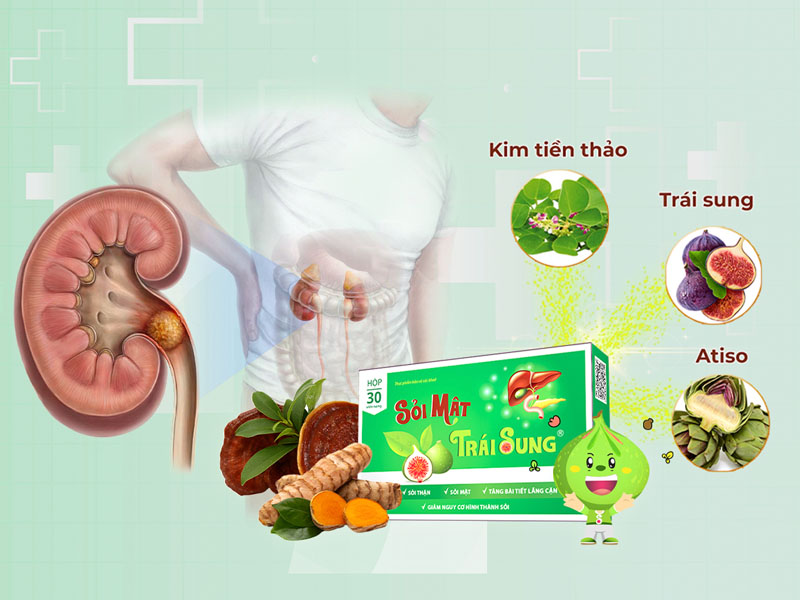 Sỏi mật dùng sỏi mật trái sung điều trị an toàn, hiệu quả sau 3 tháng giảm sỏi