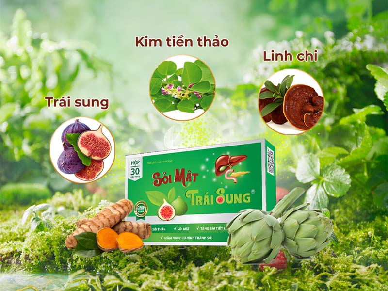 Nguyên liệu đầu vào sạch - sinh - sơ là thế mạnh của sỏi mật trái sung