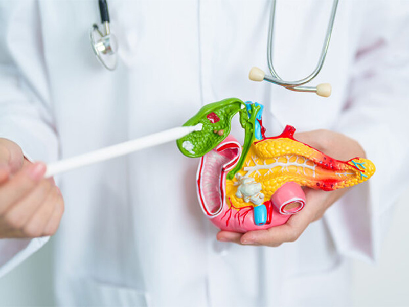 Sỏi có kích thước bé, số lượng ít và chưa gây nhiều biến chứng được chỉ định dùng thuốc tan sỏi mật