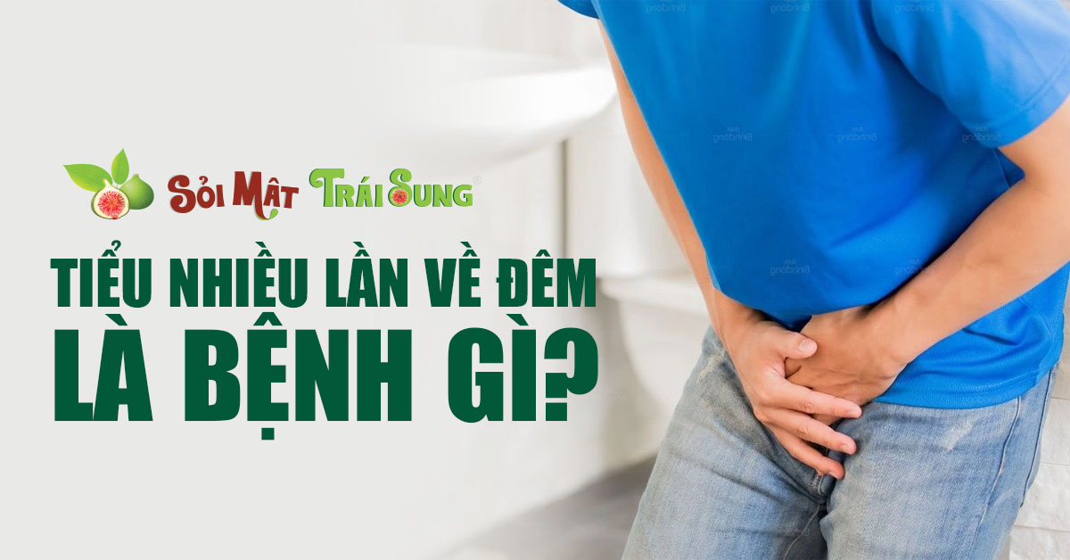 tiểu nhiều lần về đêm