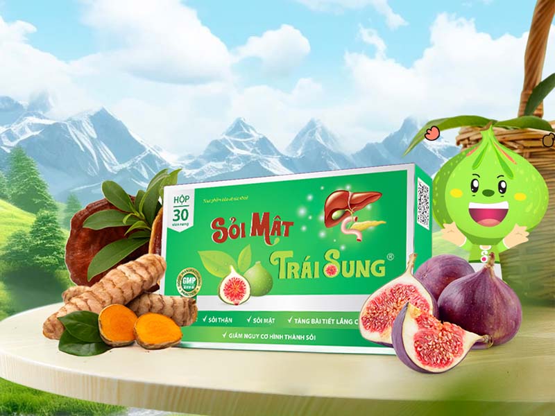 Sỏi mật trái sung giảm sỏi mật hết sưng viêm