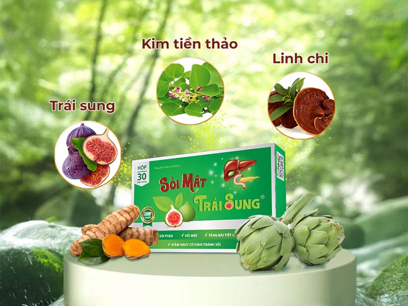 Dùng sỏi mật trái sung điều trị bệnh thận