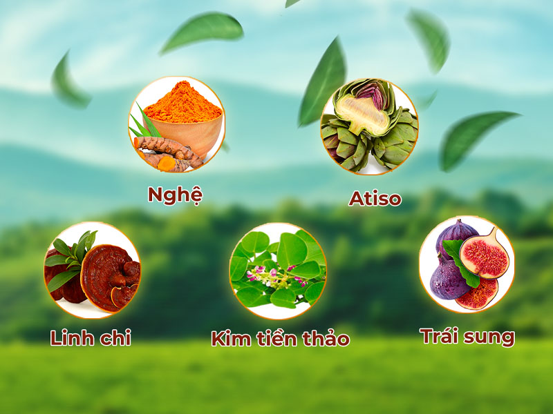 Thảo dược thiên nhiên giúp đào thải sỏi thận hiệu quả 