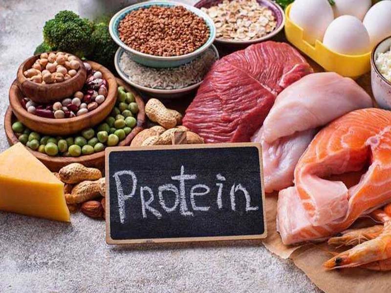 Ăn vừa đủ protein giúp ngăn ngừa sỏi thận tăng kích thước