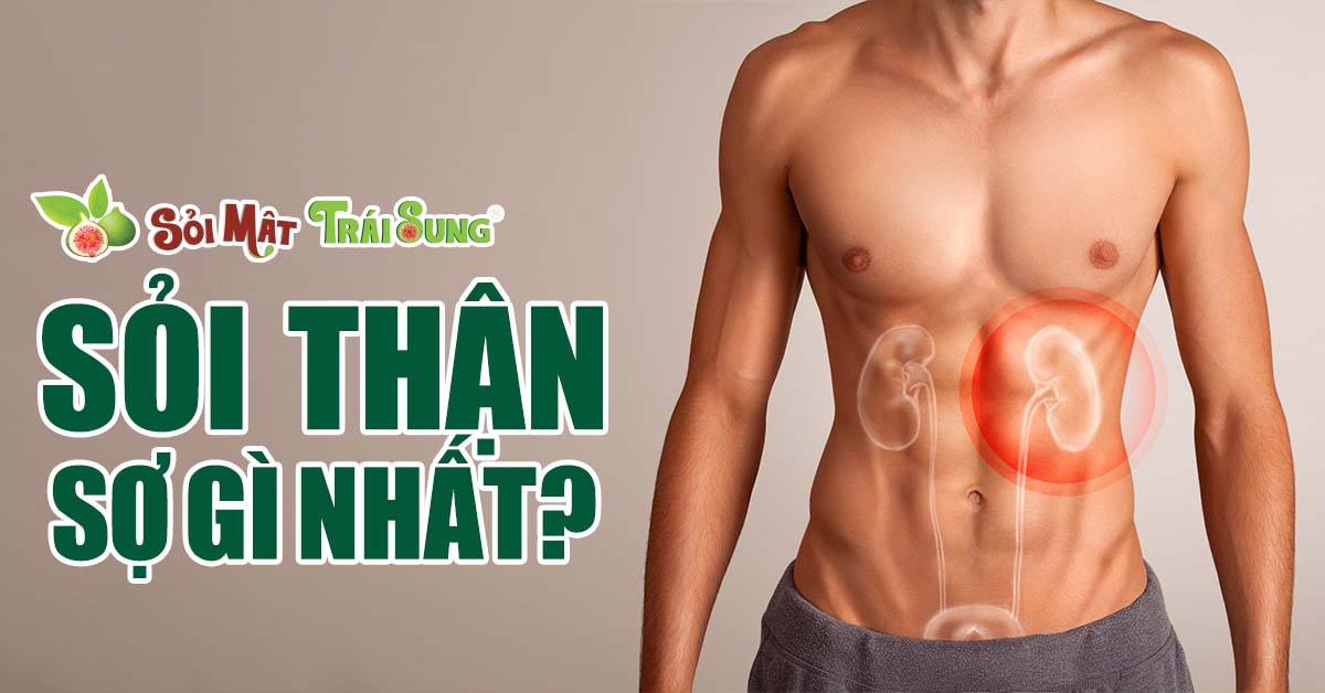 Sỏi thận sợ gì nhất?